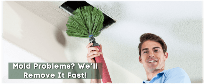 Air Duct Mold Removal in Arlington VA