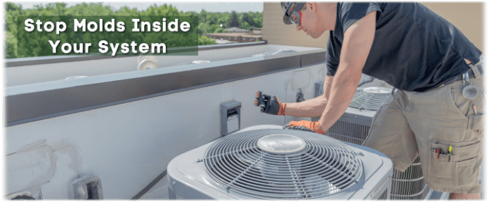 HVAC Mold Removal Arlington VA